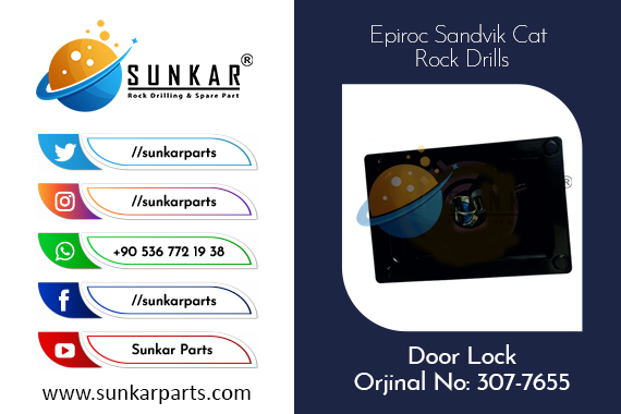 Cat Door Lock 307-7655