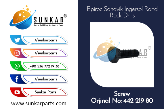 Sandvik Screw 442 219 80
